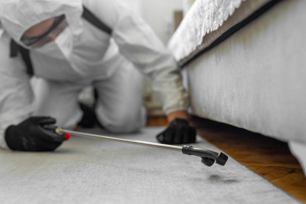 Professional Mosquito Control technician working in Lake Shore, WA