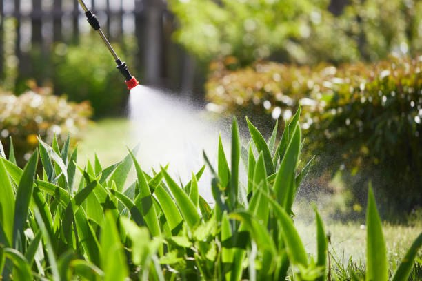24/7 Emergency Mosquito Control experts in Lake Shore, WA