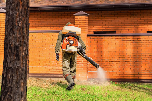 Trusted Rodent Control service in Lake Shore, WA - Nex Pest Control